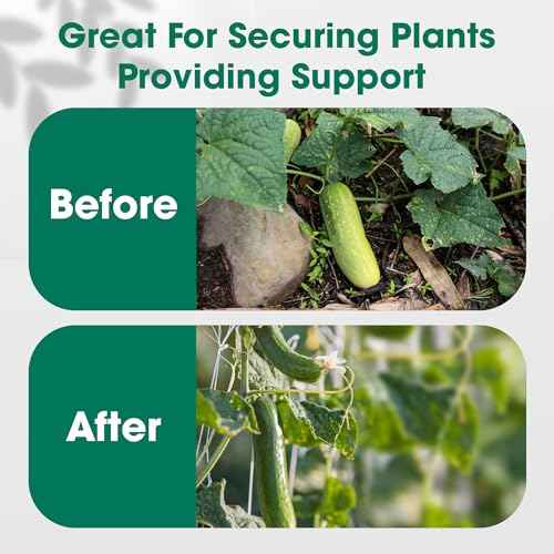 Polypropylene Twine - 5/64" x 164Ft Thick, 164 Feet Long for Bundling, Packaging, Gardening and More, Green