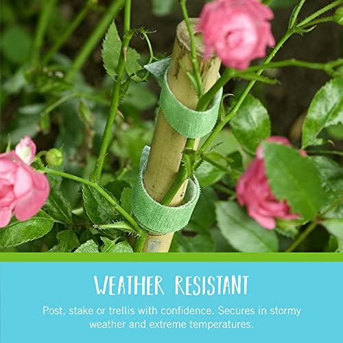 VELCRO Brand Recycled Plastic Garden Ties 50 Ft x 1/2 in Green, Adjustable Plant Support