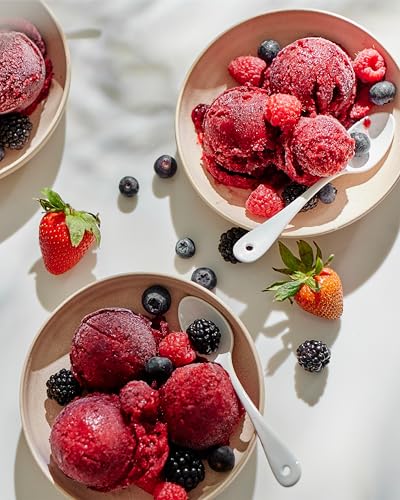 Nama Sorbet Attachment for J2 Juicer – Frozen Treat Maker Accessory