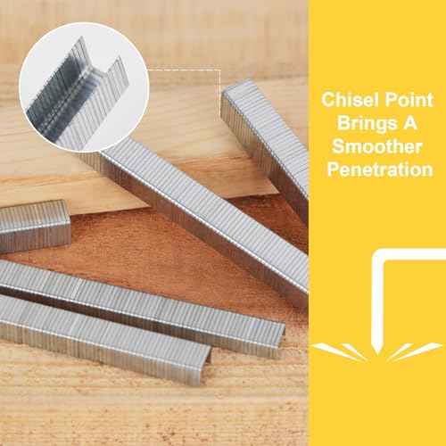 YEAHOME Heavy Duty Staples, 2000 Counts 1/4 inch T50 Staples, 20 Gauge Galvanized 3/8 Inch Crown Upholstery Staple for Pneumatic, Electric T50 Staple Gun
