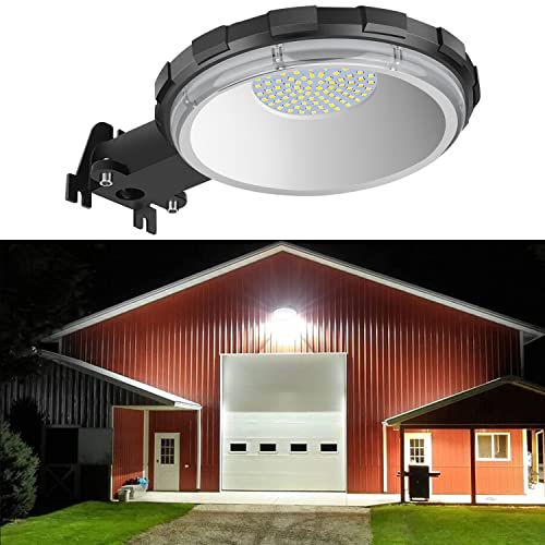 Karjoefar 100W Dusk to Dawn Outdoor LED Light 10000LM 5000K Daylight, Model 1