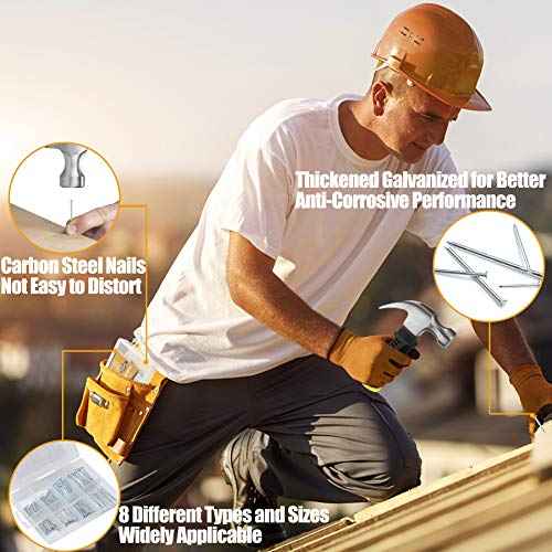 KURUI 700PCs Nails Assortment Kit & 8oz Hammer, Small Hammer for Hanging Wall Art Decor, Picture Frame, 350 Roofing/Wall Nails & 350 Finishing Nail