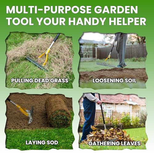 Heavy Duty Thatch Rake for Lawn with 74in Steel Handle - Dethatching Tool