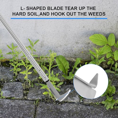 BARAYSTUS Adjustable Stainless Steel Long Handle Crack Weeder - 25.6/41/55 Inches
