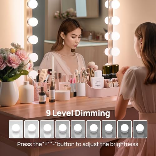 Consciot LED Vanity Lights for Mirror - Hollywood Style 10 Dimmable Bulbs, White Variant