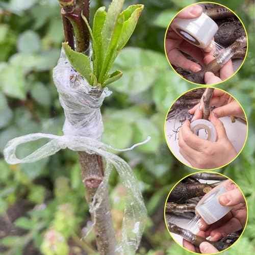 3 Pack Plant Grafting Tapes Stretchable Plant Repair Tapes Garden Grafting Tape,Graftings Film,Plants Tape for Broken Stem,Perfect for Fruit Floral Tree and Plants