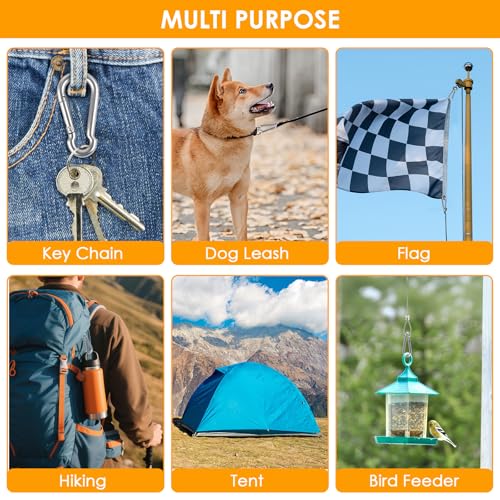 KATUMO 12 Pack Stainless Steel 2 Inch Carabiner Clips, Heavy Duty Spring Snap Hooks for Keys, Camping, Hiking, Dog Leashes