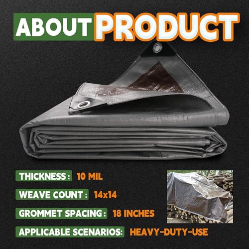 RAINDEWAY Heavy Duty Waterproof Tarp 10x12 Feet, 10 Mil Silver or Brown Finish