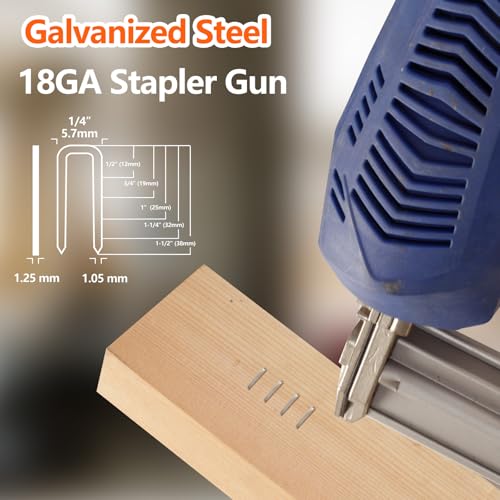 Assorted 2000 Count Galvanized Narrow Crown Staples 1/2"-1 1/2" for Stapler - Silver, 5 Sizes