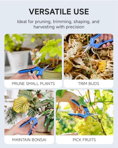 Fondwell 6.5-inch Micro-Tip Pruning Shears with Straight & Curved Blades, Silver