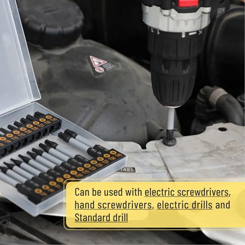 Bates Torx Bit Set, 24pc T5-T40, Tamper Resistant, Security Torx Bits