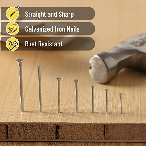 Mr. Pen Nail Assortment Kit - 1500 Pieces, 12 Sizes for Construction & Repairs