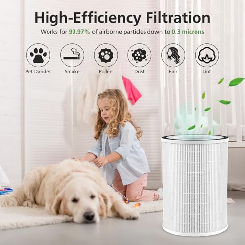 White KILO Filter Replacement for Afloia KILO/KILO PRO/MIRO Air Purifier (2-Pack) – WILERDA