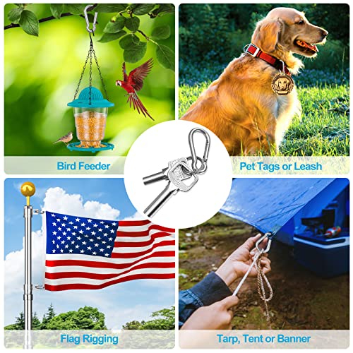 SharingMoment Stainless Steel Carabiner Clips 1.57 Inch, Heavy Duty Keychain Hooks