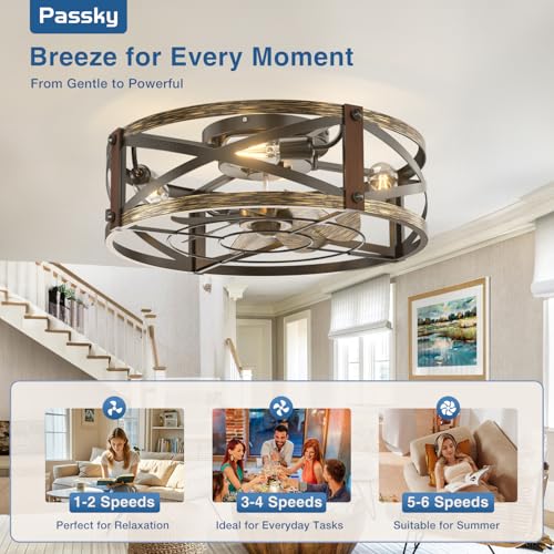 Passky 20-Inch Black Brushed Gold Caged Ceiling Fan with Lights & Remote