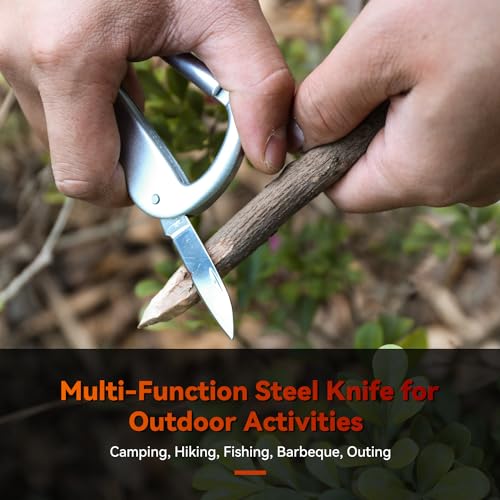 Multitool Carabiner with Pocket Knife, Bottle Opener,Nail file,Small Scissors,EDC Carabiners Keychain with Folding Knives,Auxiliary Tools for Camping,Hiking,Outdoor Activities(Silver)