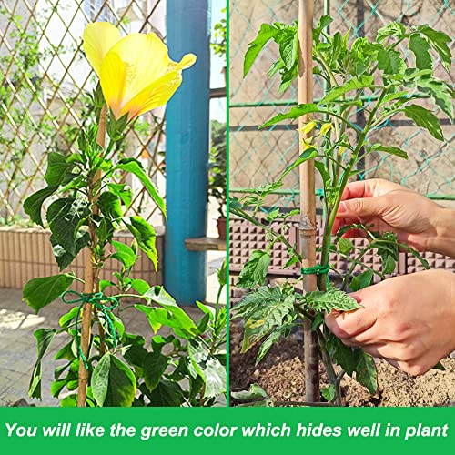 Vivifying Garden Twine Green 656 Feet, 2mm Plant Ties for Gardening & Crafts