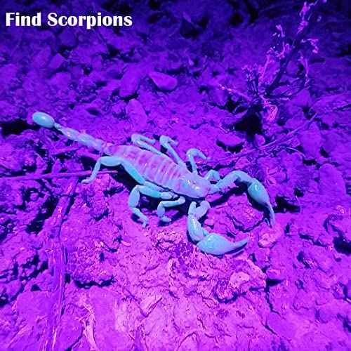 Black Light UV Light, 21 LED 395nm UV Flashlight, Powerful Mini Blacklight Flashlight, Small Portable Black Light Flashlight for Pet Urine Detection, Scorpion, Resin Curing, Bed Bug, Nails