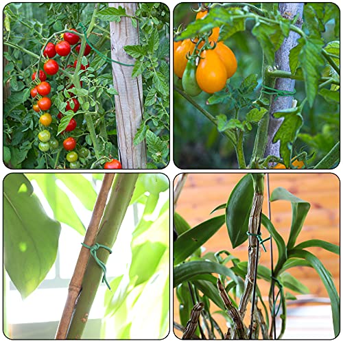 YDSL 100 Feet Green Plant Tie Support - Soft Garden Twine for Climbing Vegetables & Flowers, Diameter 2.5mm, Reusable
