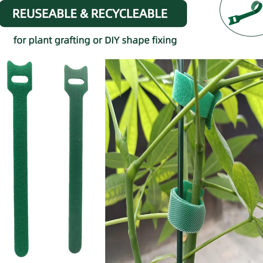 CHZKVOY, Green, Reusable, 100PCS, 6 - Inch Adjustable Anti - Slip Nylon Plant Ties & Straps Featuring Hook and Loop Fasteners - Optimal for Climbing Plants Support and Christmas Garland Ties