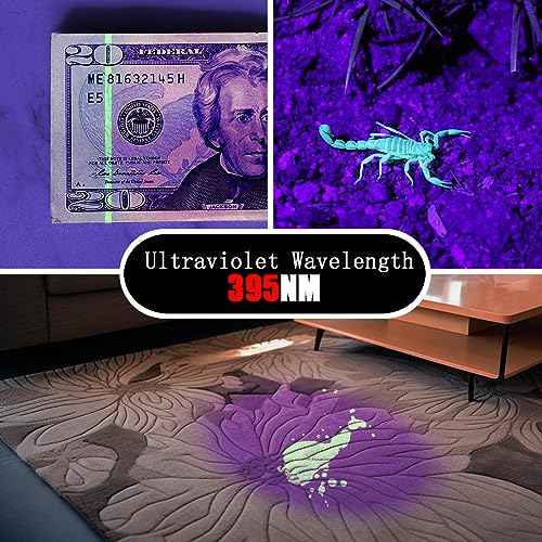 UV Flashlight 2 Pack 395nm Ultraviolet, Black Light Mini Penlight Portable and Compact for Pet Urine and Stain Detection, Hotel Cleaning, ID Check, Handheld Detector