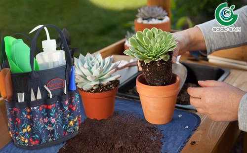 13 Pieces Succulent Tools Kit with Organizer Bag,Gardening Tool Set with Tote,Mini Succulent Garden Tool Kit Succulent Bonsai Planter Set Indoor Gardening,Miniature Indoor Fairy Planting Care