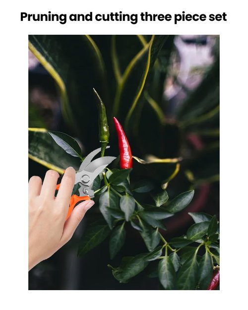 3 PCS Pruning Shears Set, Professional Garden Scissors with Stainless Steel Blades for Plants/Flowers/Small Branches, Orange
