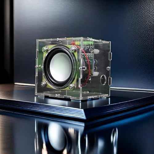 Transparent DIY Stereo Speaker Kit with LED Light Electronic Audio Amplifier ? a cool mini speaker suitable for home, school, and workshop soldering practice kits