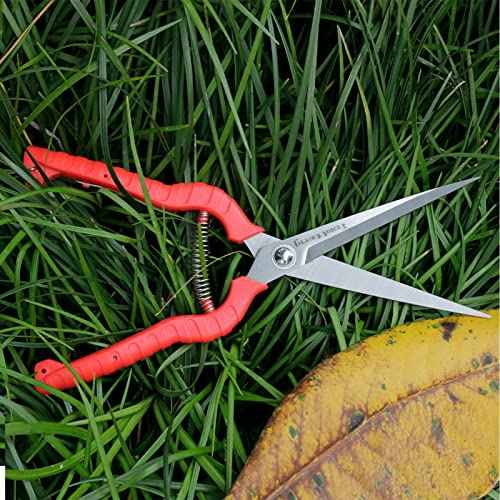 Extra Long Garden Scissor, Stainless Steel Pruning Shears, Bonsai Plant Trimming Scissors for thorny roses plant Flowers Harvesting Herbs Fruits or Vegetables