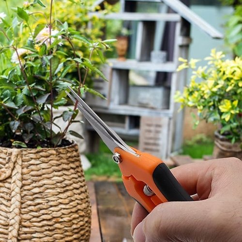 Gardening Scissors Hand Pruner Pruning Shear with Straight Stainless Steel Blades Orange