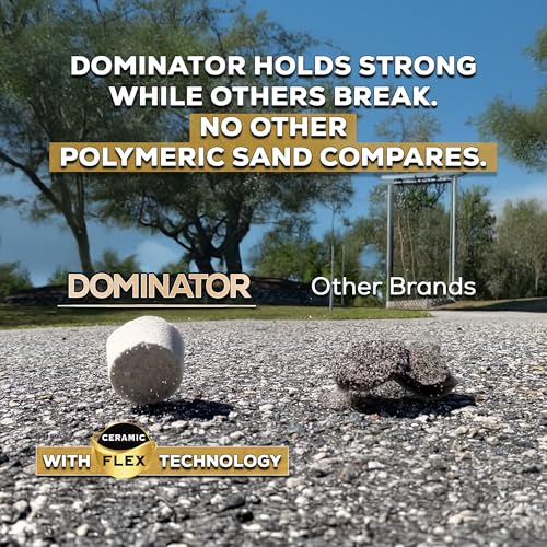 10 Pound Titanium Gray DOMINATOR Polymeric Sand with Ceramic Flex Technology for Paver Joints