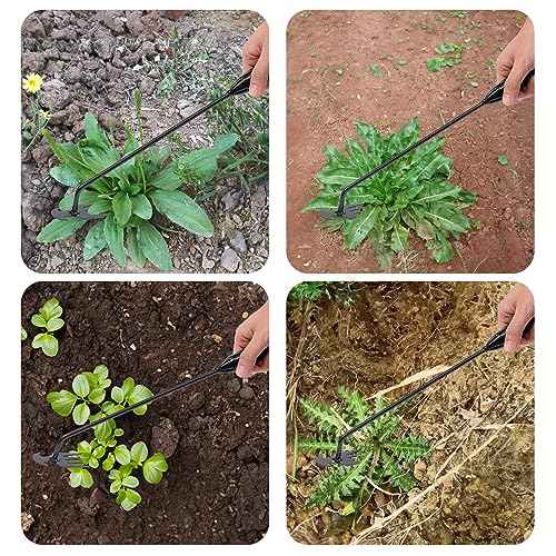 Weed Puller Tool Garden Weed Pulling Tool, Portable Garden Weeder Tool Uprooting Weeding Tool, 4 Teeth Manganese Steel Forged Hand Weeder for Vegetable Gardening Backyard Farm Planting & Weeding