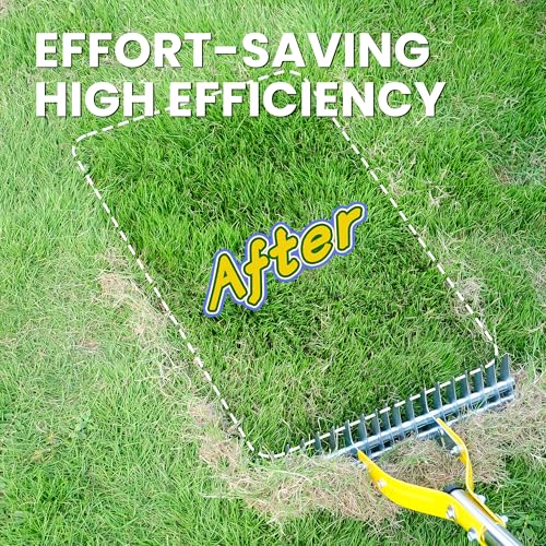 Heavy Duty Thatch Rake for Lawn with 74in Steel Handle - Dethatching Tool