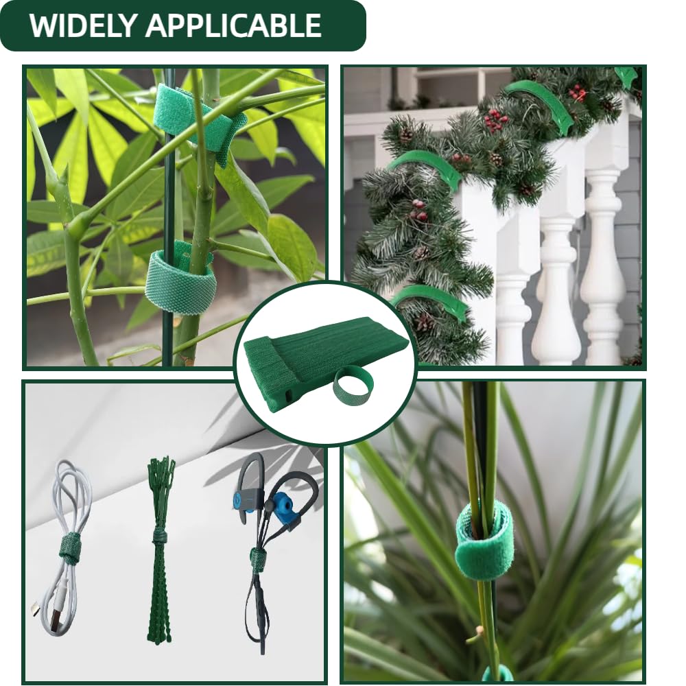 CHZKVOY, Green, Reusable, 100PCS, 6 - Inch Adjustable Anti - Slip Nylon Plant Ties & Straps Featuring Hook and Loop Fasteners - Optimal for Climbing Plants Support and Christmas Garland Ties
