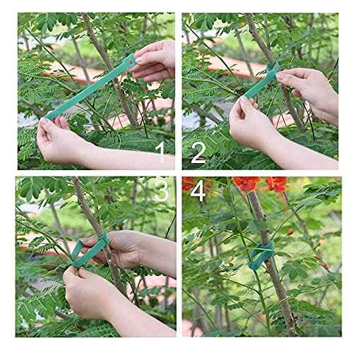 Garden Hook£¦Loop Plant Cable Ties, Multi-functional Ties, Adjustable Garden Nylon Ties for Supporting Plant and Vines(50 Pcs, 8 Inch, Green)