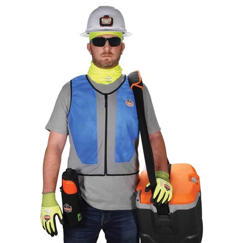 Ergodyne Chill-Its 6667 Cooling Vest, Evaporative PVA Material for Fast Cooling Relief, Blue, Large