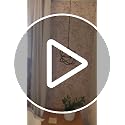 Erfoni Beige Floral Peel and Stick Wallpaper 16.9" x 118" – Removable Contact Paper for Wall & Decor