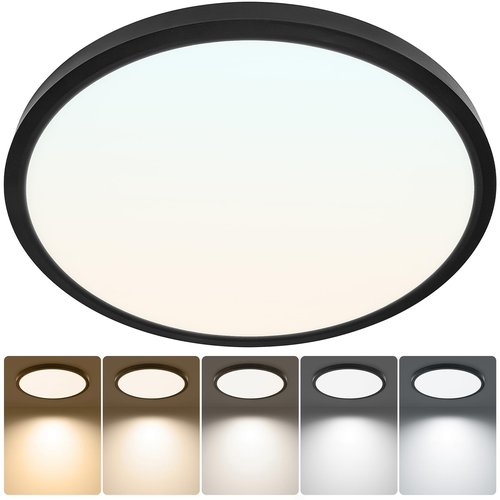Laiyidia 12 Inch 2640LM LED Flush Mount Ceiling Light, 2700K-6500K Adjustable,24W Dimmable Ultra Thin Flat Fixtures for Low Ceiling Bedroom Kitchen Hallway Basement Closet, Black