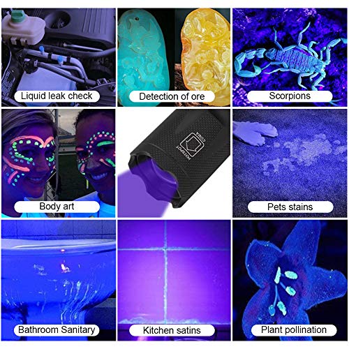Blacklight Flashlight Kit, 2 in 1 LED UV 395nm Blacklights with 500LM Highlight, 4 Modes, Ultraviolet Torch Light for Pet Urine/Scorpion Detection/Night Fishing/Travel/Camping