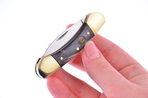 Hen & Rooster Pocket Knife 102BH Little Canoe Buffalo Horn Handle German Stainless Steel Blades Closed 2.875 Inches