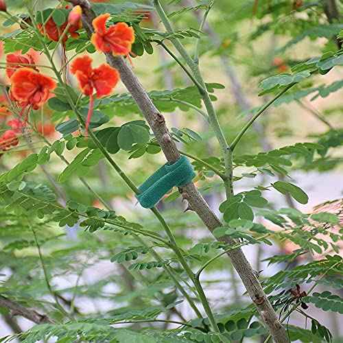Garden Hook£¦Loop Plant Cable Ties, Multi-functional Ties, Adjustable Garden Nylon Ties for Supporting Plant and Vines(50 Pcs, 8 Inch, Green)
