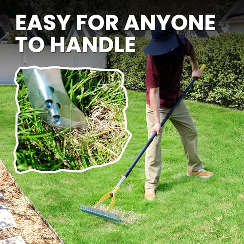 Heavy Duty Thatch Rake for Lawn with 74in Steel Handle - Dethatching Tool