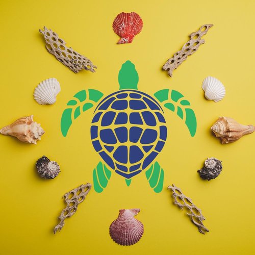 FINGERINSPIRE 5 PCS Turtle Stencil with 1Pc Plastic Paint Brush 5 Sizes Turtles Pattern Plastic Stencil Ocean Theme Template for Painting on Wood Wall Canvas Fabric Furniture DIY Home Decoration