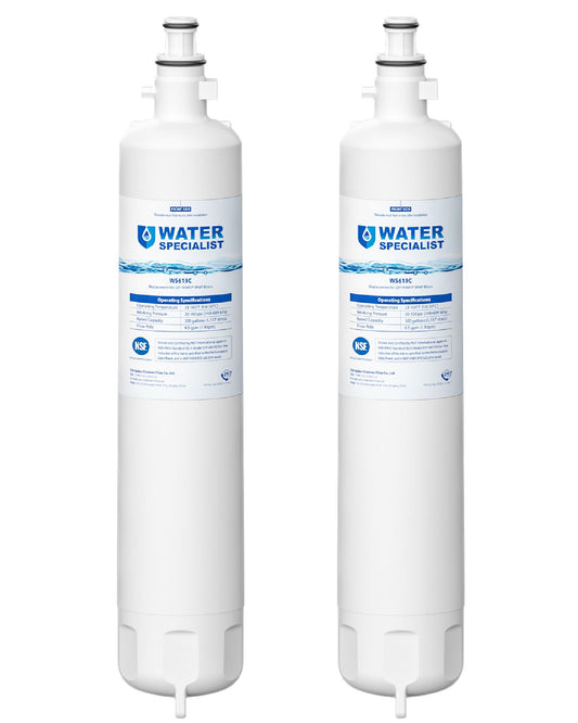 Waterspecialist WS619C Replacement for GE® RPWFE®, RPWF (Built-in CHIP) Refrigerator Water Filter, Compatible with GYS22GMNES, GYE22HSKSS, PYE22PELDS, GFE26GMKES, GFE28GYNFS, PFE28KYNFS, 2 Filters