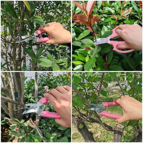 Garden Scissors 3Pcs Floral Shears with 3 Different Blades,Floral Scissors with Comfortable Grip Handle for Cutting Flowers Trimming Plants