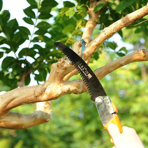 Takelablaze Folding Hand Saw Camping Saw Pruning Saws with Rugged 10.6 Inch Blade Folding Saws Razor Tooth Made with SK5 Steel for Tree Trimming Gardening Hiking