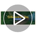 Red Haus & Garten ClassicPRO 8.5" Titanium Bypass Pruning Shears - Professional Garden Clippers