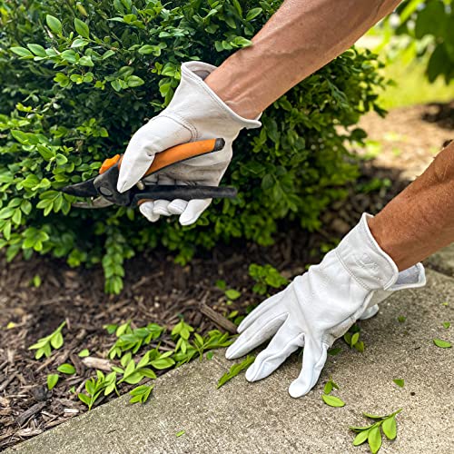 Wells Lamont Men¡¯s Full Leather Goatskin Work Gloves, Reinforced Palm Patch with Elastic Wrist, Soft Grain Leather for Durability, Comfort, and Dexterity