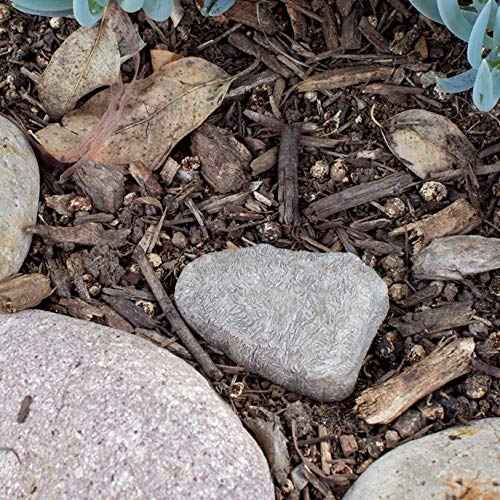 Lucky Line Rock Key Hider, Cash Hider, Medium, Pack of 1, Brown or Gray (90601)