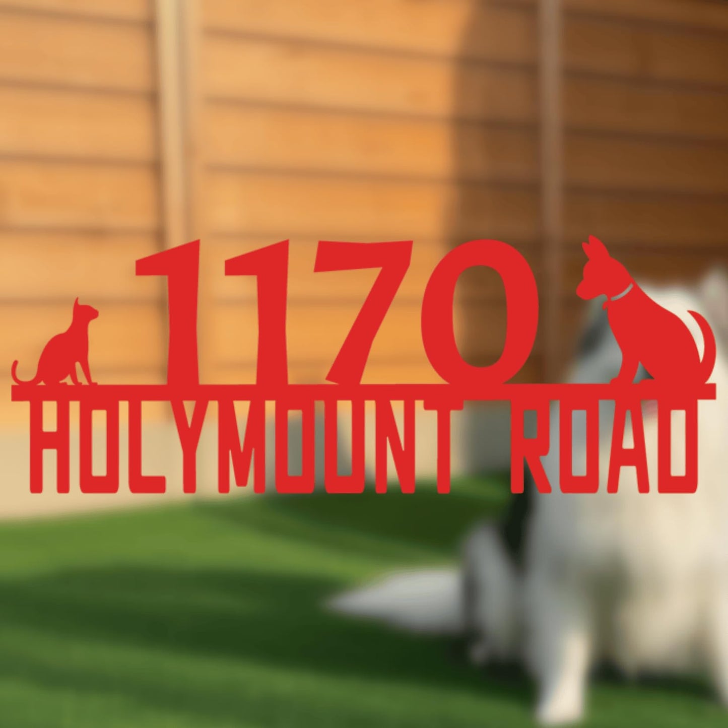 Custom Dog Mailbox Number,Personalized Cat House Numbers for Outside,Funny Address Numbers for Houses,Metal House Number,Address Signs for Houses,Custom Signs Outdoor Metal,Birthday Gifts